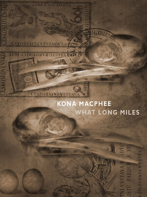 cover image of What Long Miles